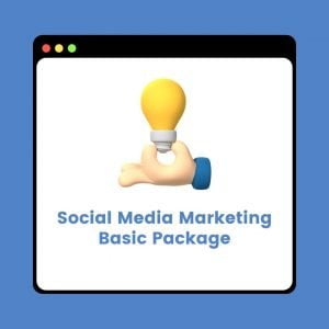Social Media Marketing Basic Package